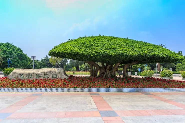 imageye___-_imgi_27_beautiful-park_1417-1572.webp